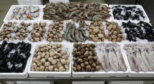 Tempat Beli Udang, Kerang, Dan Cumi Segar Berkualitas Di Panyileukan Bandung