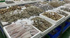 Distributor Udang, Kerang, Dan Cumi Frozen Terpercaya Area Cikancung Kabupaten Bandung