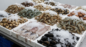 Tempat Beli Udang, Kerang, Cumi Partai Besar Berkualitas Di Cimahi Utara Cimahi