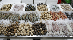 Distributor Udang, Kerang, Cumi Partai Besar Berkualitas Area Pameungpeuk Kabupaten Bandung