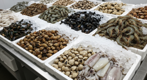 Jual Udang, Kerang, Dan Cumi Frozen Terbaik Di Banjaran Kabupaten Bandung