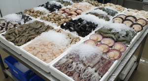 Tempat Beli Udang, Kerang, Dan Cumi Frozen Terbaik Wilayah Cililin Bandung Barat