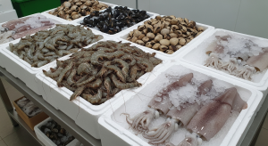 Jual Udang, Kerang, Cumi Partai Besar Harga Grosir Area Andir Bandung